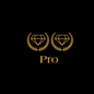 Pro /month